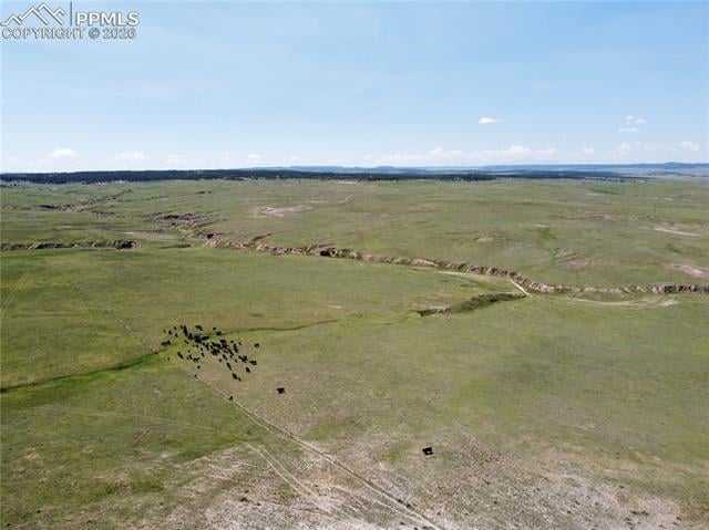 Lot 8 County Road 77, Calhan, CO 80808