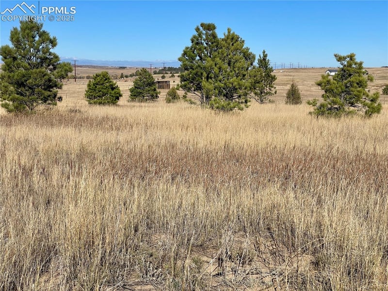 Parcel A County Road 98, Elbert, CO 80106
