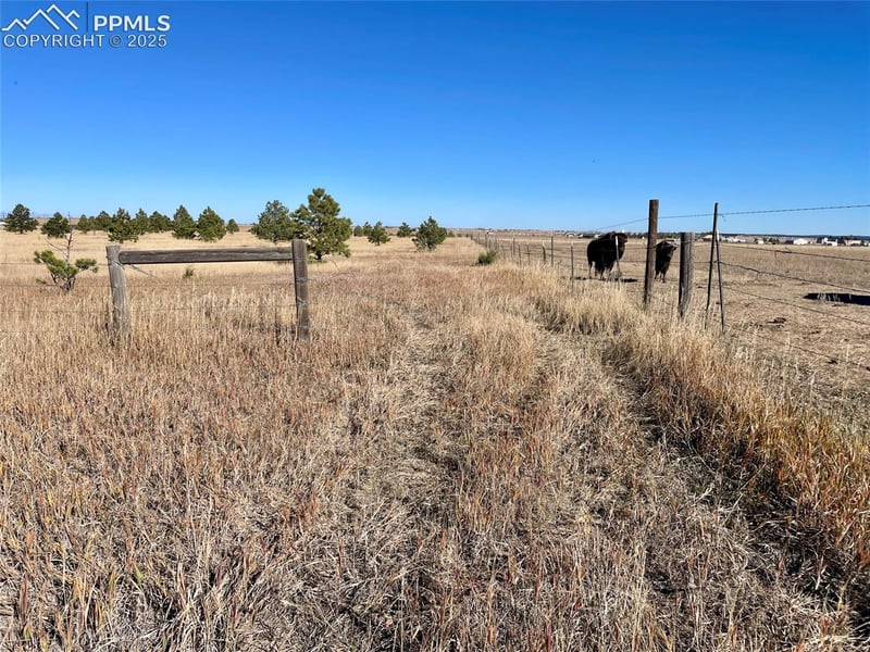 Parcel A County Road 98, Elbert, CO 80106