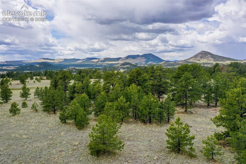 tbd Doe Valley Rd, Guffey, CO 80820