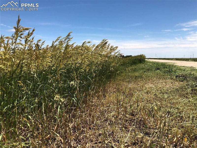 0 Alford Rd, Simla, CO 80835