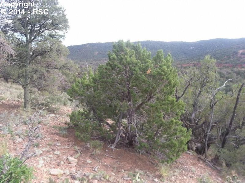 0 Barrett Rd, Colorado Springs, CO 80926