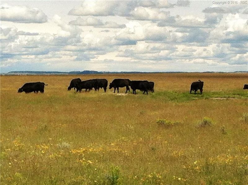 0 Big Springs Rd, Calhan, CO 80808