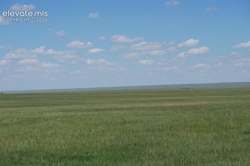 Blasingame Rd, Ramah, CO 80832
