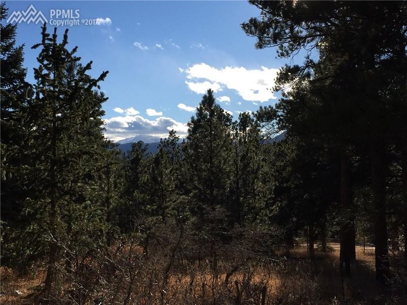 0 Bricker Rd, Monument, CO 80132