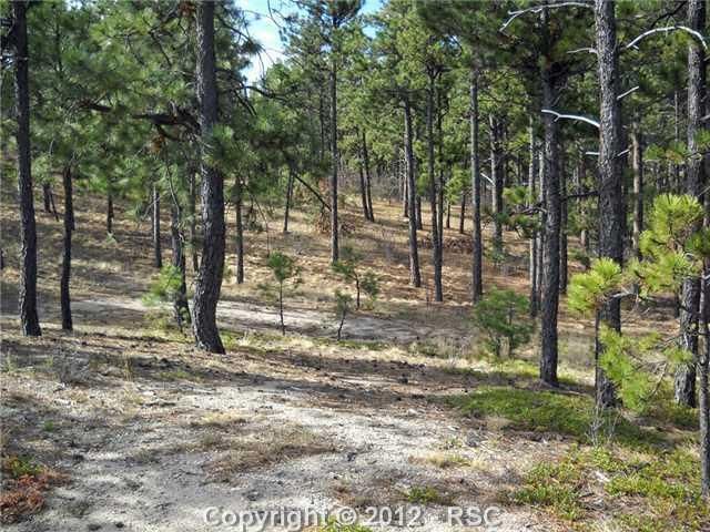 0 Bridle Bit Rd, Colorado Springs, CO 80908