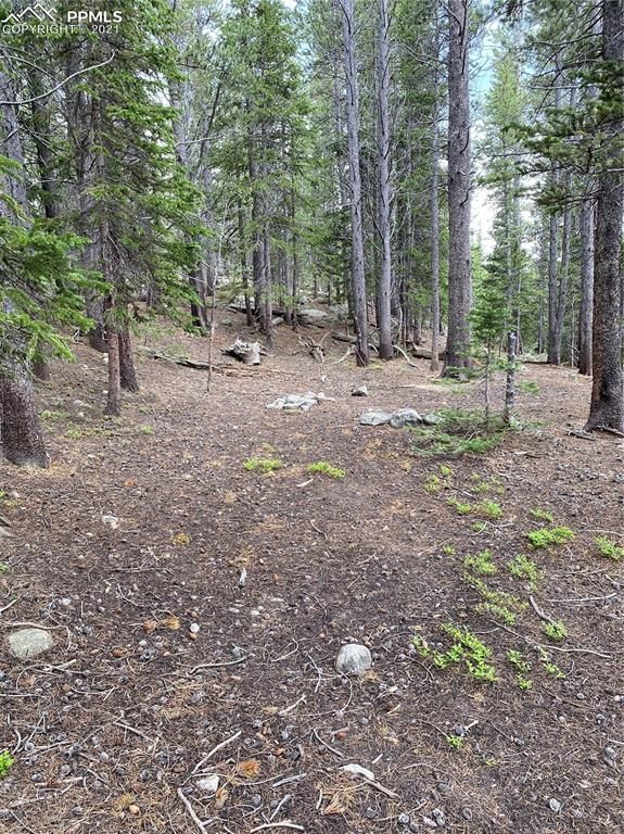 0 Brook Dr, Idaho Springs, CO 80452