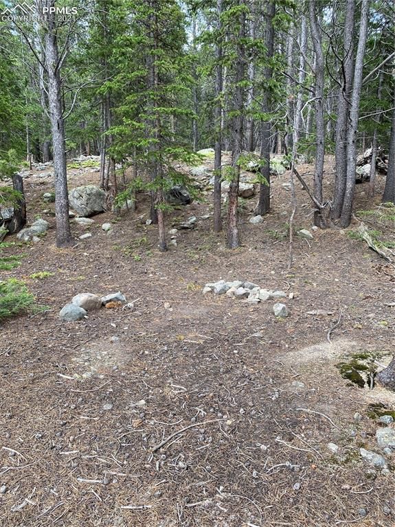 0 Brook Dr, Idaho Springs, CO 80452