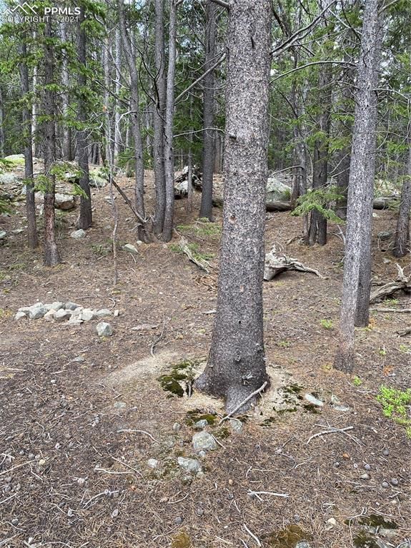 0 Brook Dr, Idaho Springs, CO 80452