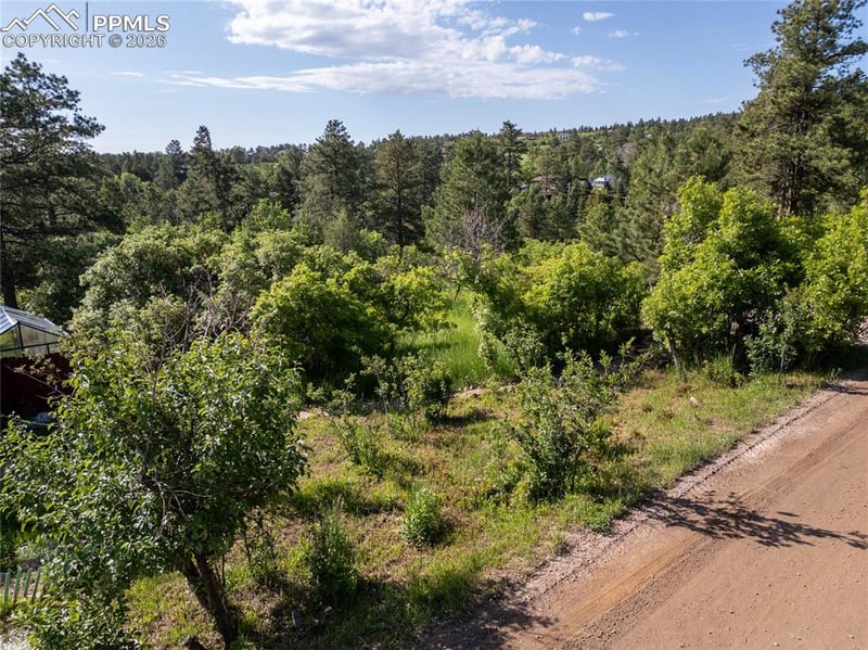 Buena Vista Ave, Palmer Lake, CO 80133