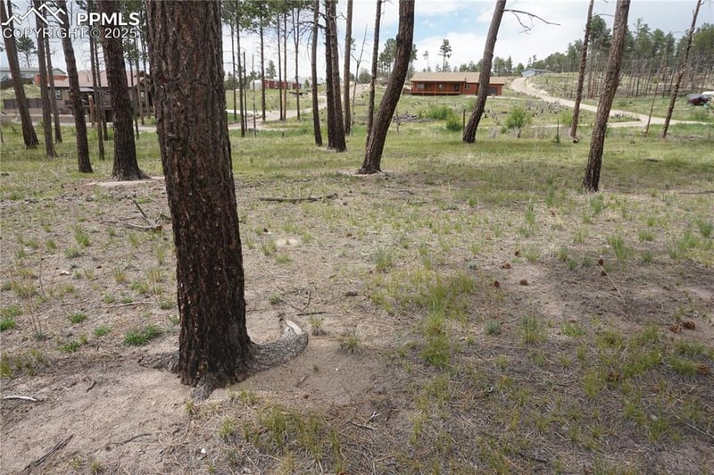 0 Circle Dr, Colorado Springs, CO 80908
