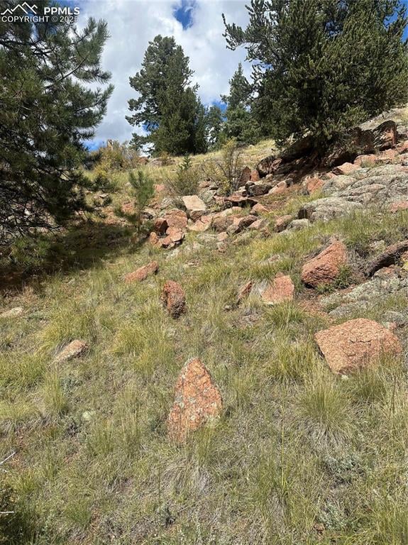 0 County Road 1, Cripple Creek, CO 80813