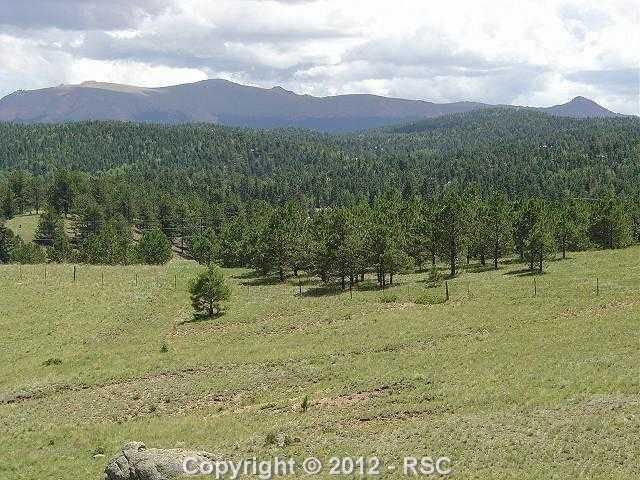 0 County Road 42, Divide, CO 80814