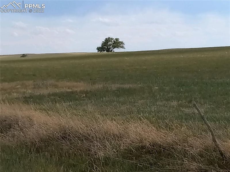 0 County Road 42 Rd, Matheson, CO 80830