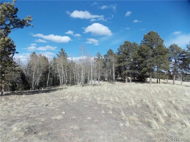 0 County Road 5, Divide, CO 80814
