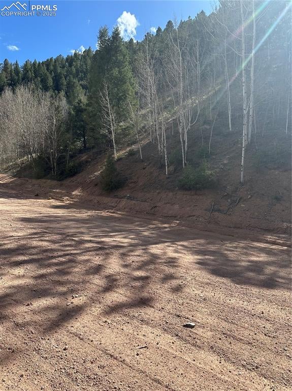 0 County Road 61, Divide, CO 80814