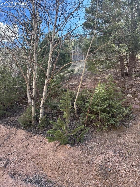 0 County Road 61, Divide, CO 80814