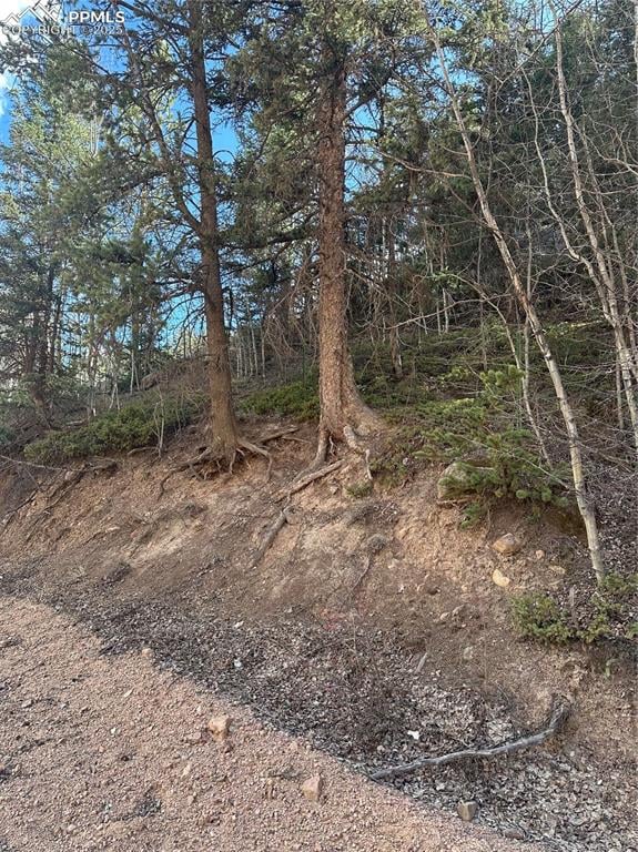 0 County Road 61, Divide, CO 80814