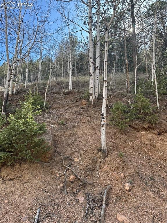 0 County Road 61, Divide, CO 80814