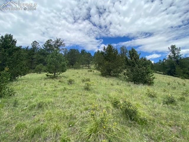 0 County Road 8, Victor, CO 80860