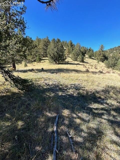 0 County Road 8, Victor, CO 80860