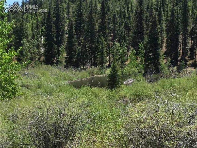 0 Deer Creek Rd, Bailey, CO 80421