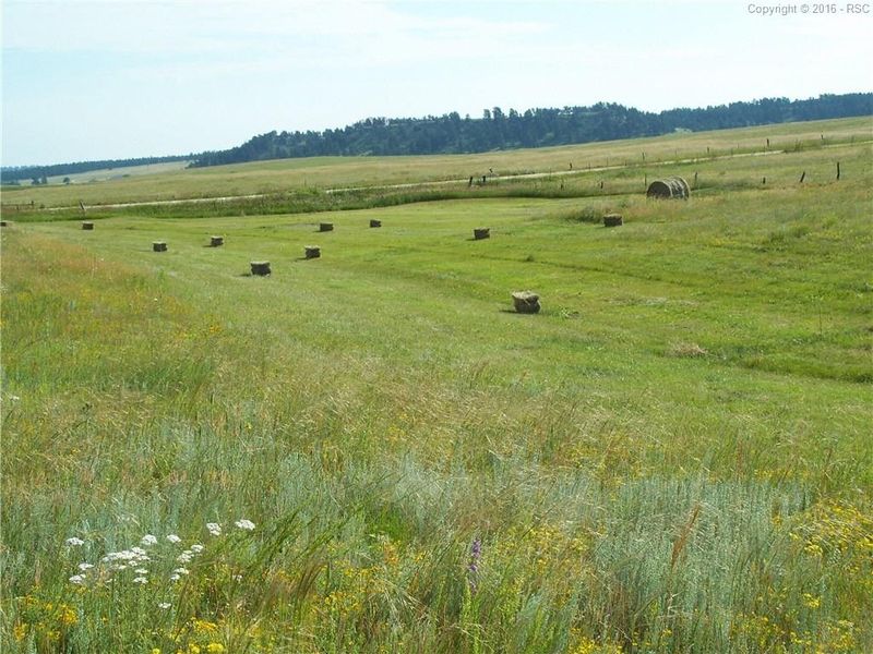 0 Evans Rd, Elbert, CO 80106