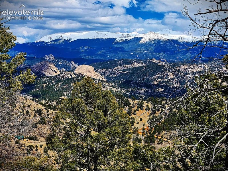 Fir Ln, Florissant, CO 80816