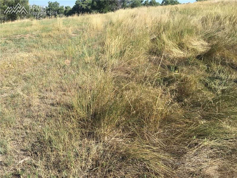 0 First St, Ramah, CO 80832