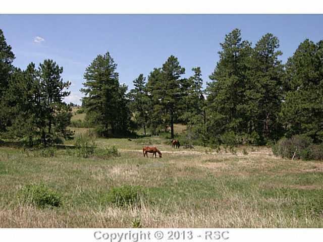 0 Folsom Point Ln, Franktown, CO 80116
