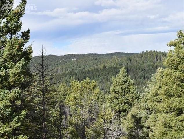 0 Forest Ln, Larkspur, CO 80118