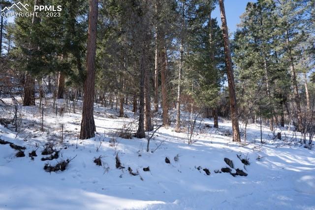 0 Fowler Branch, Palmer Lake, CO 80133