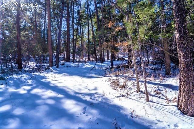 0 Fowler Branch, Palmer Lake, CO 80133
