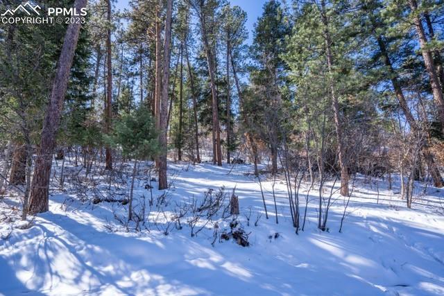 0 Fowler Branch, Palmer Lake, CO 80133
