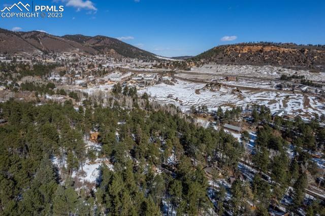 0 Fowler Branch, Palmer Lake, CO 80133