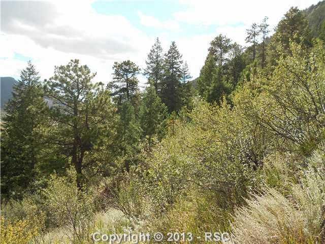 0 Harrison St, Green Mountain Falls, CO 80809