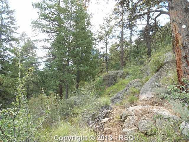 0 Harrison St, Green Mountain Falls, CO 80809