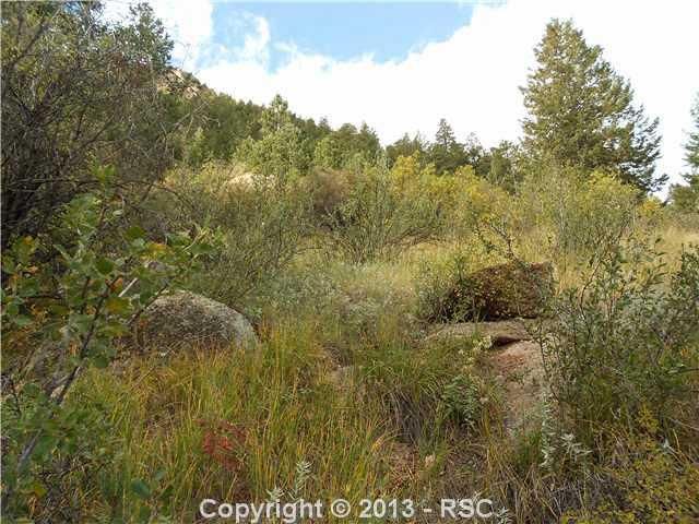 0 Harrison St, Green Mountain Falls, CO 80809