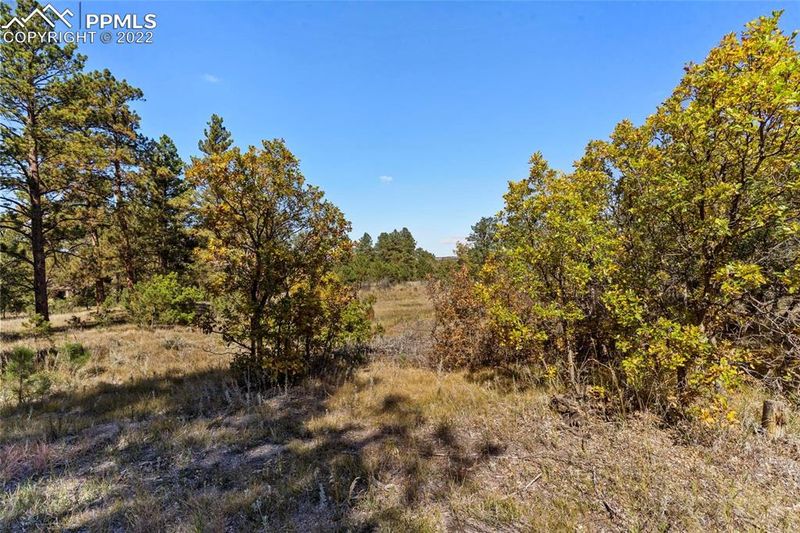 0 Hidden Meadows Point, Colorado Springs, CO 80908