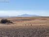 0 E Highway 24, Calhan, CO 80808