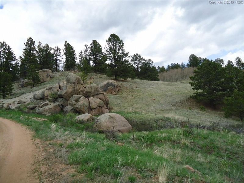 0 W Highway 24 Hw, Divide, CO 80814