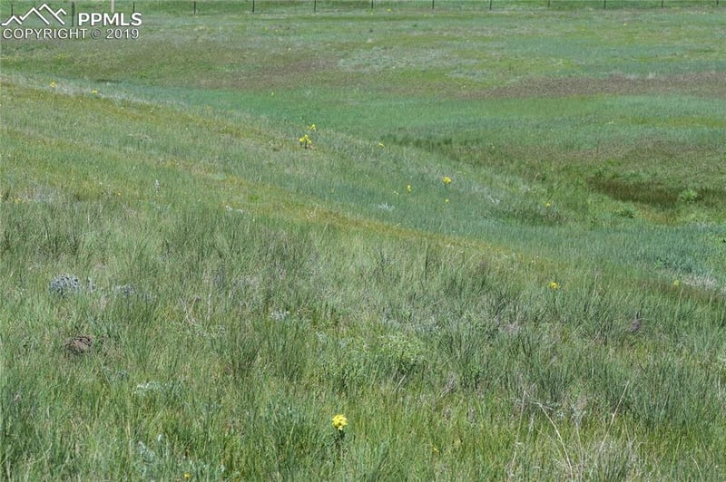 0 Highway 24 Rd, Matheson, CO 80830