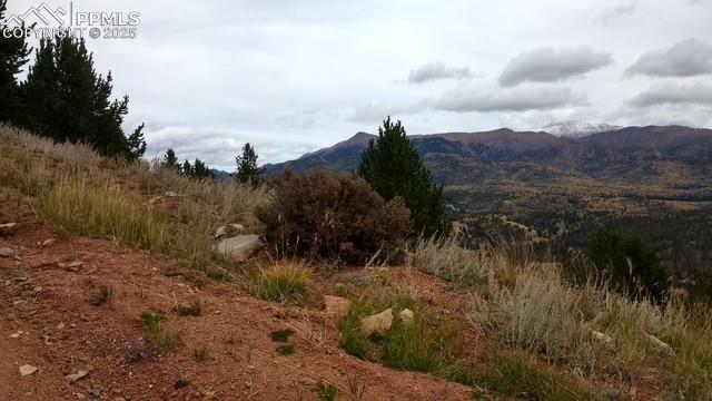 Highway 67 , Cripple Creek, CO 80813