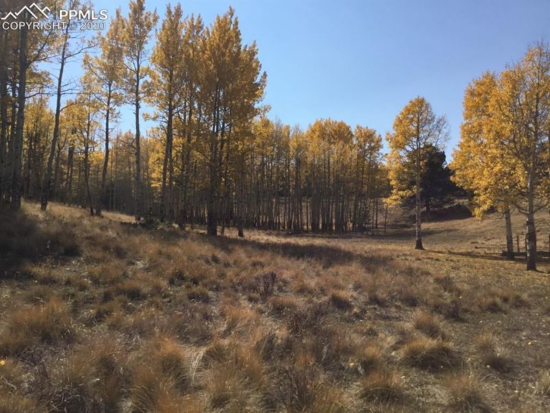 0 S Highway 67 Hw, Divide, CO 80814