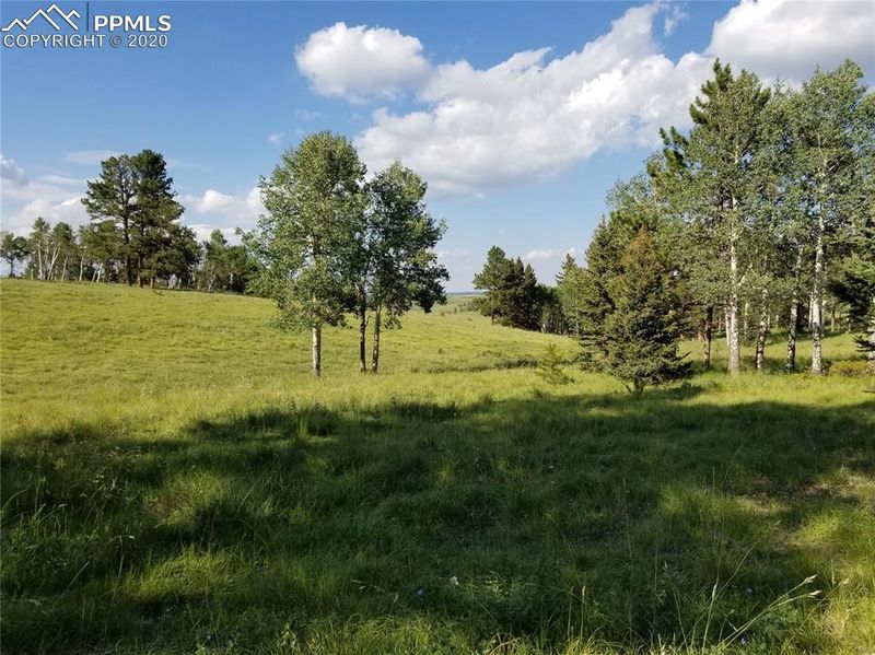 0 S Highway 67 Hw, Divide, CO 80814