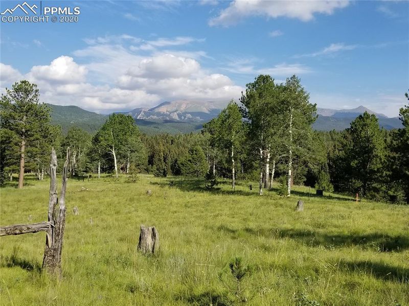 0 S Highway 67 Hw, Divide, CO 80814