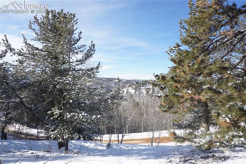 0 Horseshoe Dr, Divide, CO 80814