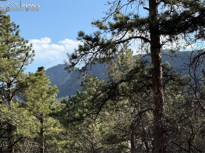 0 Hyde St, Palmer Lake, CO 80133