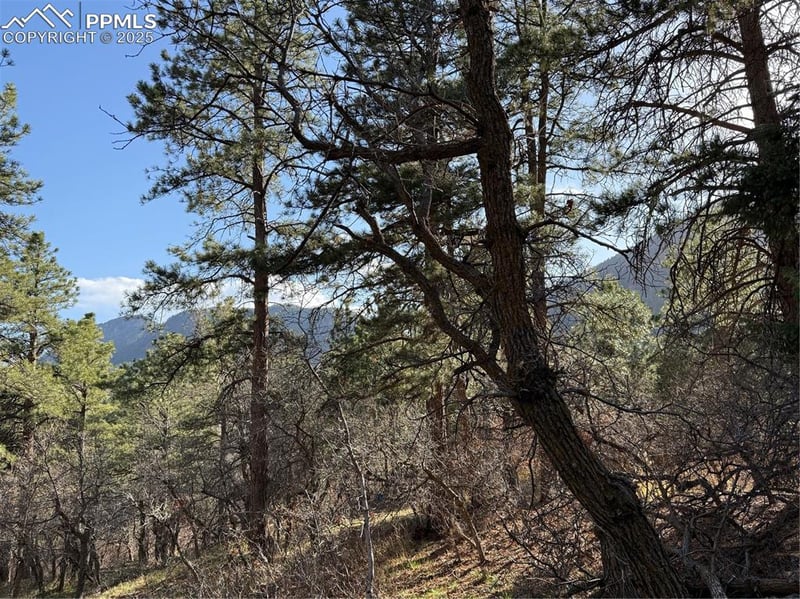0 Hyde St, Palmer Lake, CO 80133