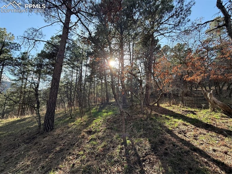 0 Hyde St, Palmer Lake, CO 80133